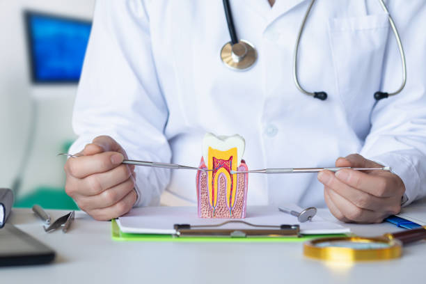 Best Emergency Wisdom Teeth Removal in Panthersville, GA